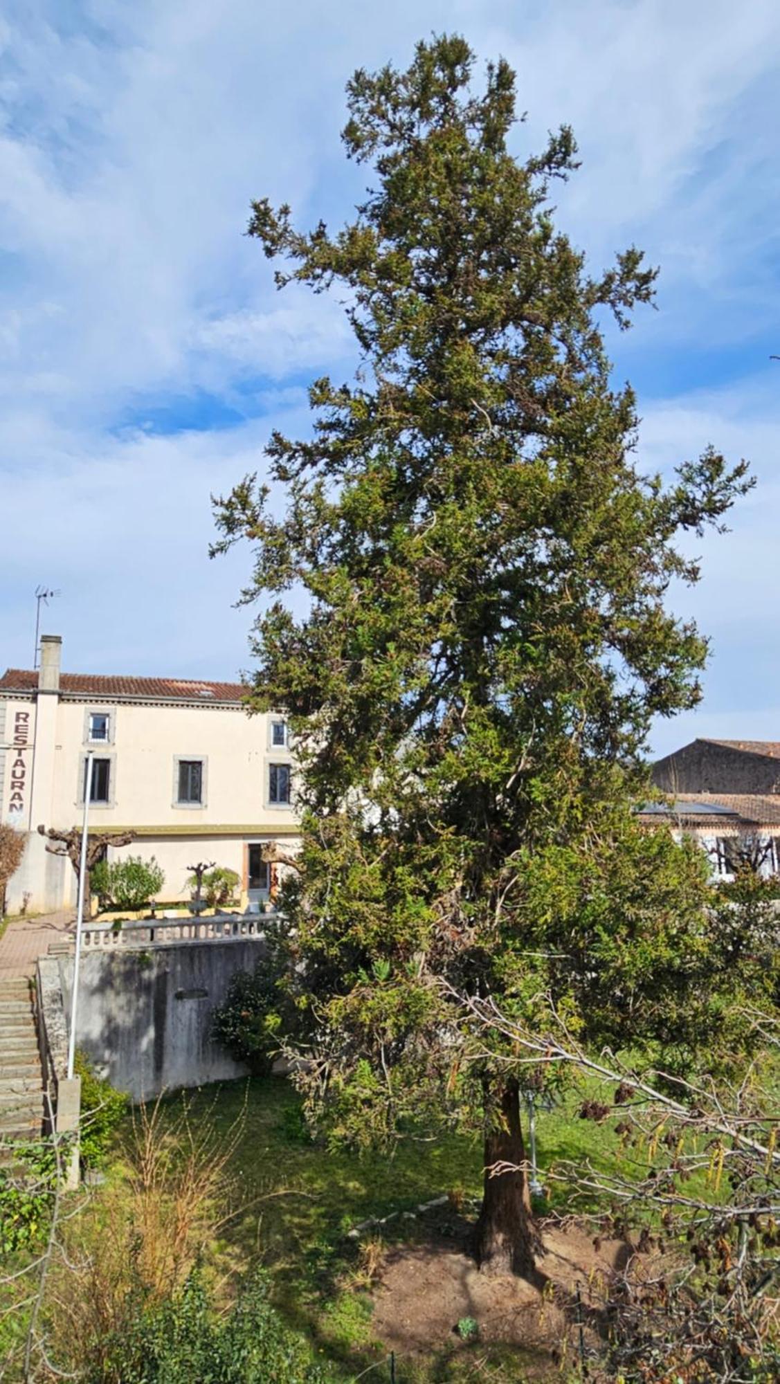 Coliv'Castres Villa Burlats Kültér fotó